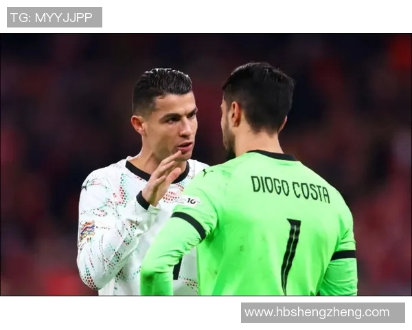 丹麦与葡萄牙足球对决全方位分析及赛前预测