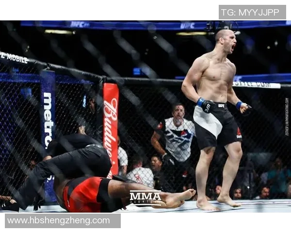 霍利菲尔德与托尼精彩对决视频回顾及赛后分析