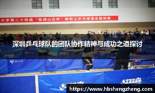 zoty中欧体育