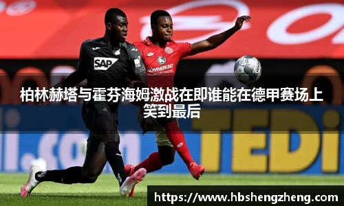 中欧体育