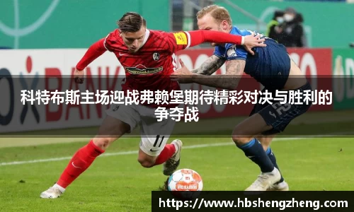 中欧官网app